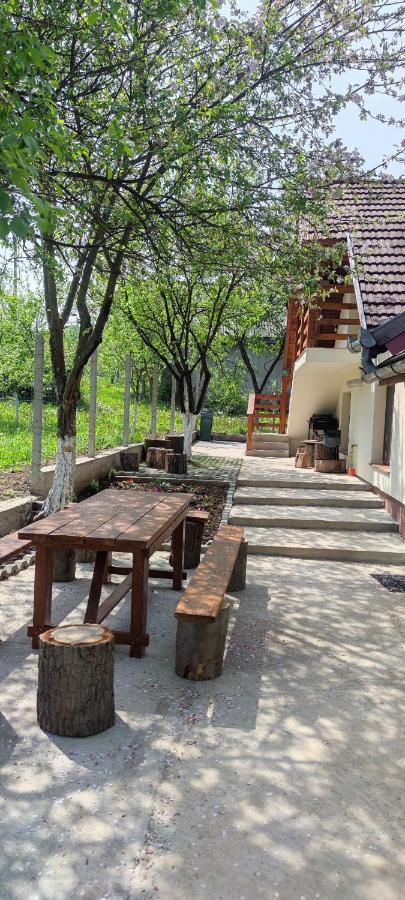Vatra Strabunilor Villa Moigrad Bagian luar foto