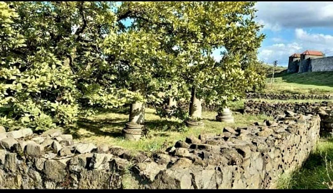 Vatra Strabunilor Villa Moigrad Bagian luar foto