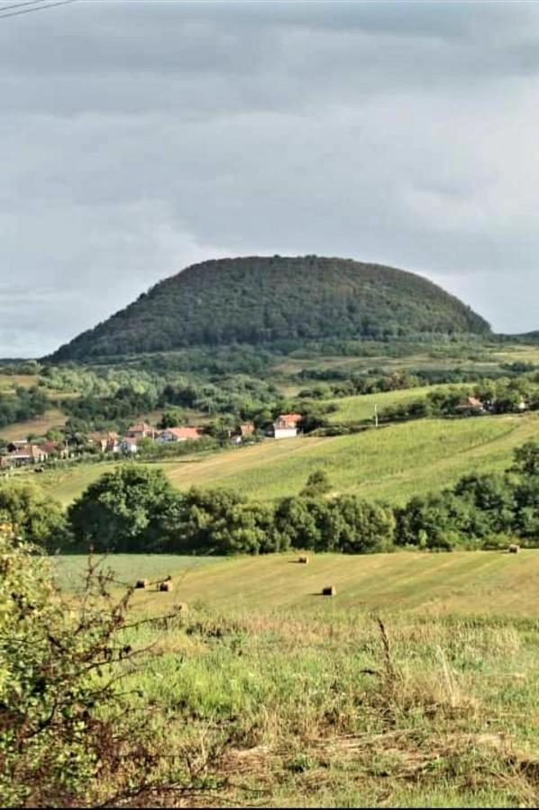 Vatra Strabunilor Villa Moigrad Bagian luar foto